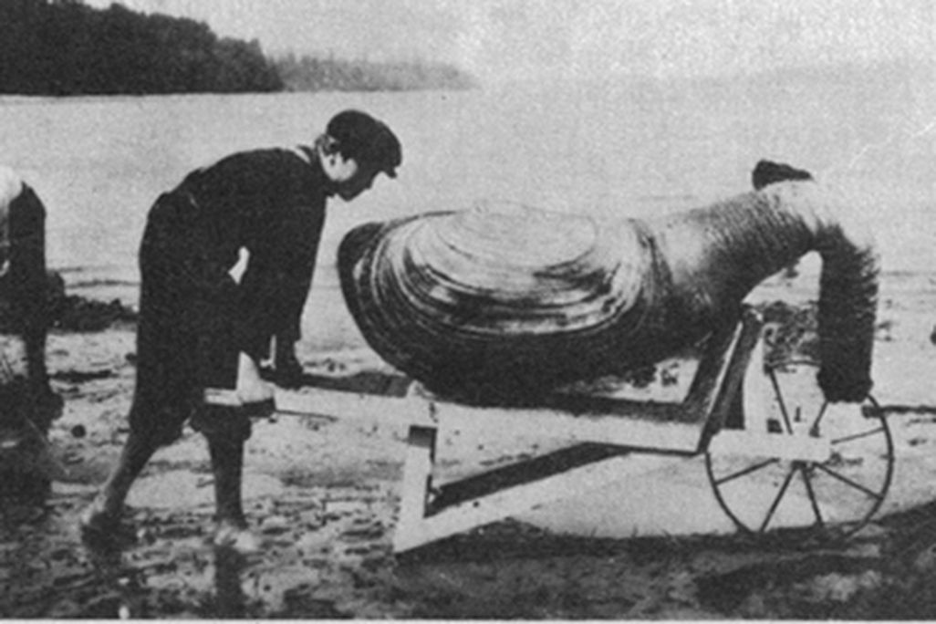 20120123120029geoduckt.jpg