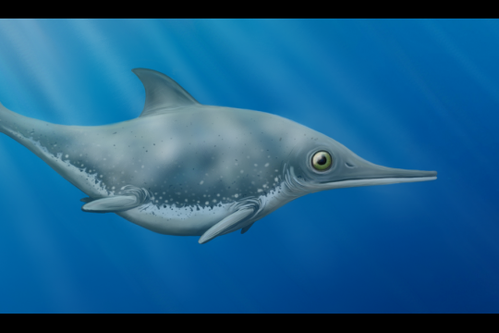 Thalassodraco etchesi 