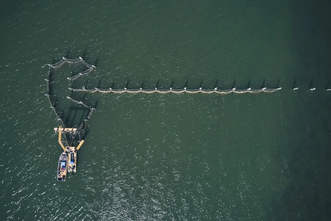 overhead view of a fish trap