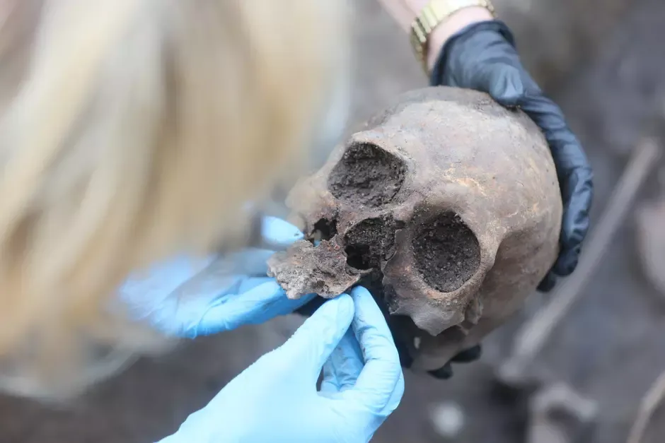 Researcher leaning over human skull