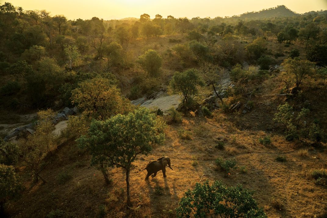 Majete Wildlife Reserve, Malawi