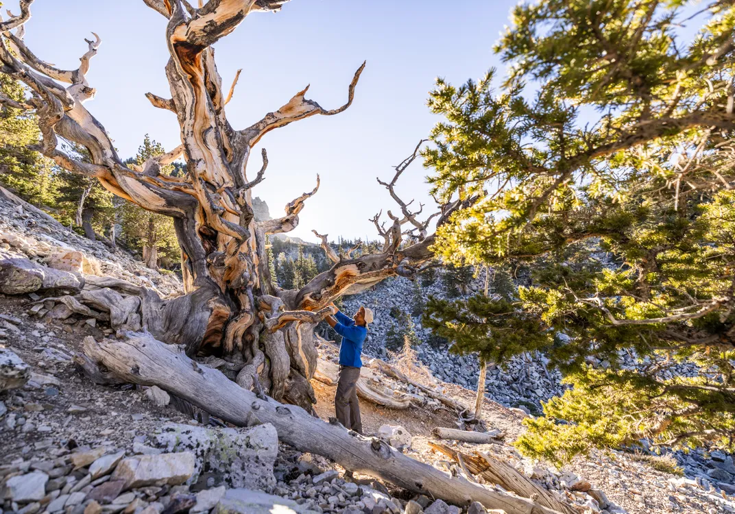 In Nevada, You Can Kayak in the Desert: Ten Unexpected Adventures on a Trip to the Silver State