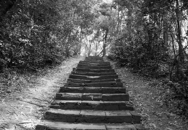 The Road to the Summit thumbnail