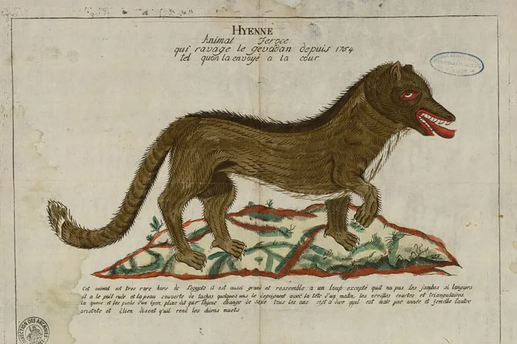 Dessin_de_la_bête_du_Gévaudan_1765_-_Archives_départementales_de_l’Hérault_-_FRAD034-C440002-00001.jpg