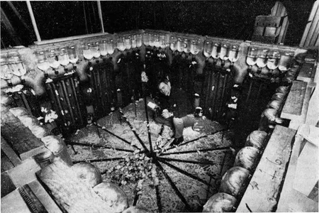 A picture of Calhoun in a mouse utopia in 1970