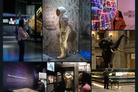 Collage of museum scenes showing visitors viewing exhibits, including an astronaut display, an elephant, and artworks.