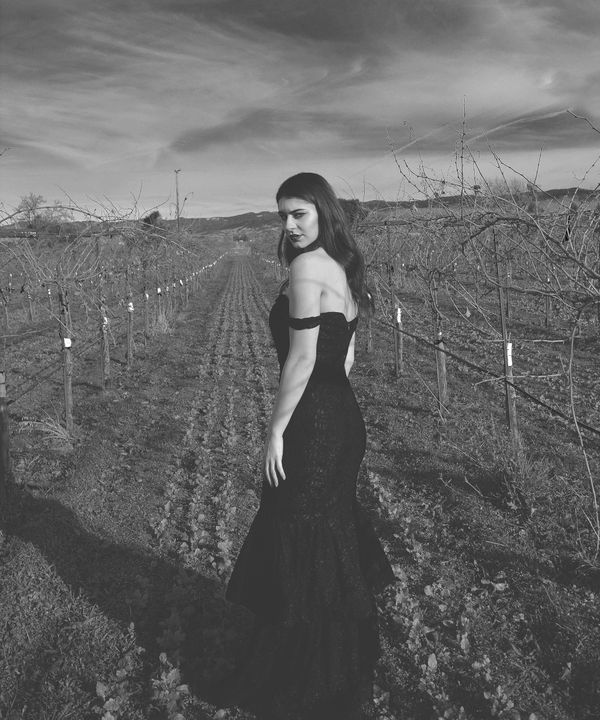 a vineyard never looked so good. thumbnail
