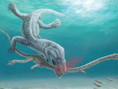 An illustration of a predator decapitating&nbsp;Tanystropheus hydroides