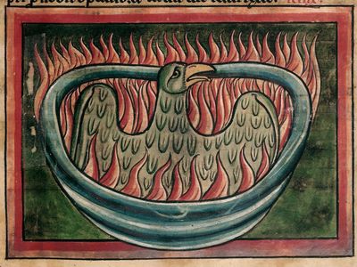 A phoenix rising from the ashes in a 13th-century bestiary 