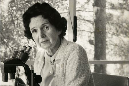 Rachel Carson in 1962.