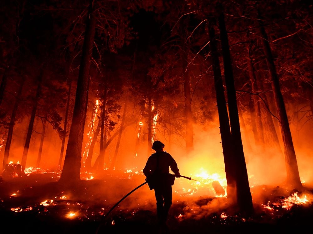A forest burns against a black silhouette of a fire fighter