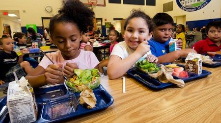 New school lunch programs are one of the ways people are trying to fight childhood obesity.