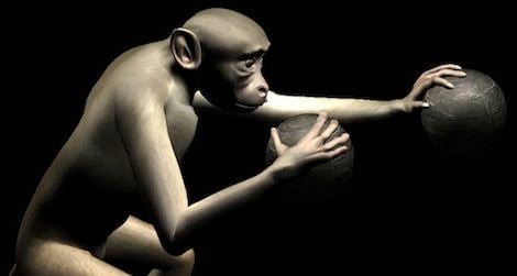 virtual monkey