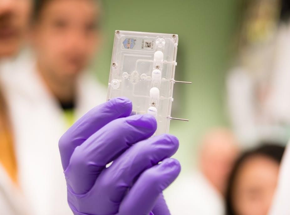 It doesn’t look like a kidney, but this ‘kidney-on-a-chip’ is a breakthrough for new drug testing.