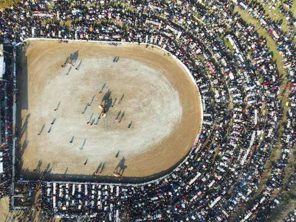 camel festival thumbnail