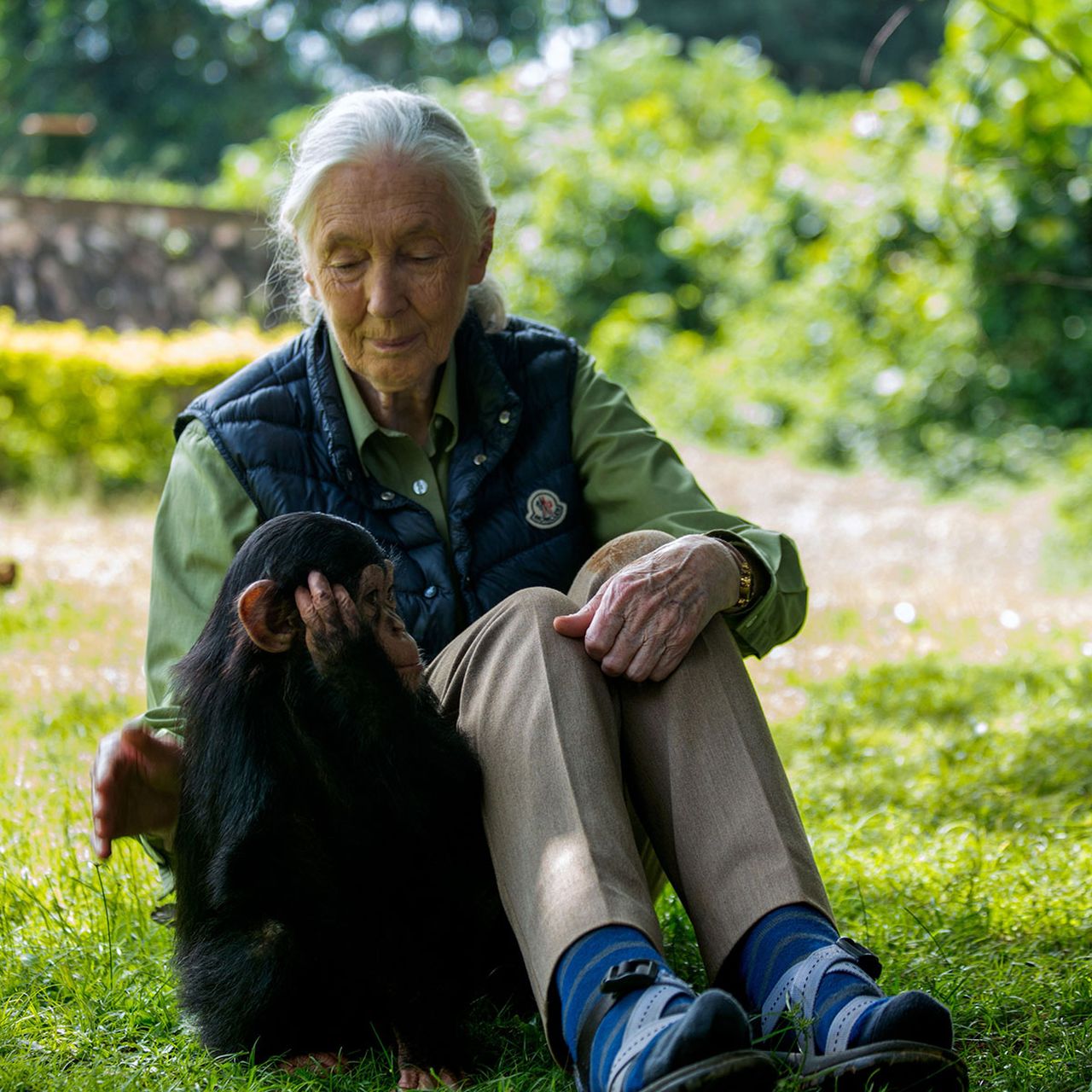 Jane Goodall, Legendary Primatologist and Anthropologist, Dies at 91