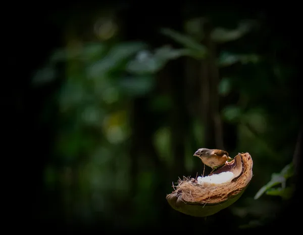 A place to rest. thumbnail