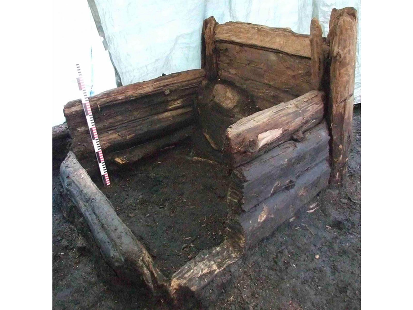 Archaeologists Mine Medieval Toilets for Traces of Gut Microbiomes