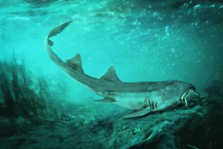 An illustration showing what Galagadon would have looked like in life, swimming along the river floor.

