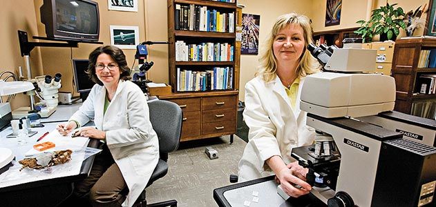 Smithsonian Feather Identification Laboratory