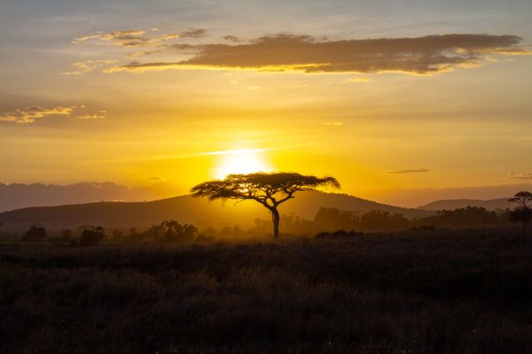 Serengeti Sunset Desktop Background thumbnail
