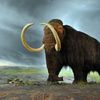 These Scientists Plan to Fully Resurrect a Woolly Mammoth Within the Decade icon