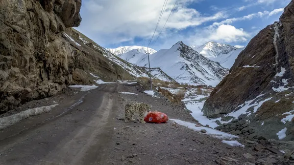 What's for dinner? thumbnail