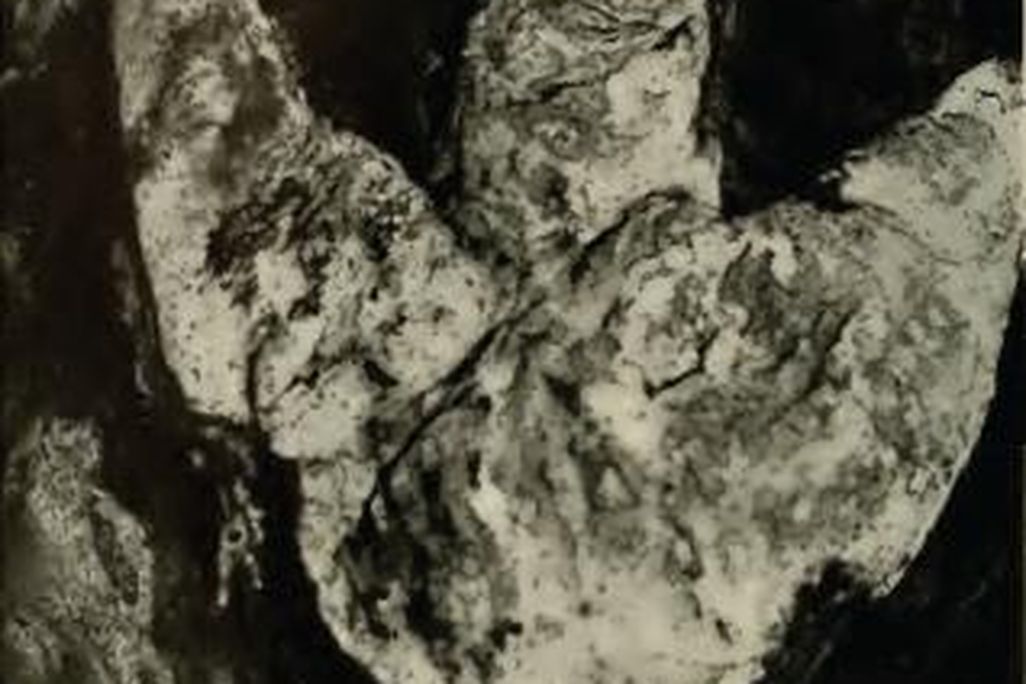 20110520083250tyrannosaur-hadrosaur-track.jpg
