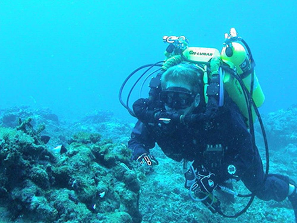 a diver underwater