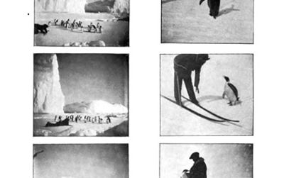 “Penguin Interviews,” via Frederick Cook’s Through the first Antarctic night, 1896-1899.