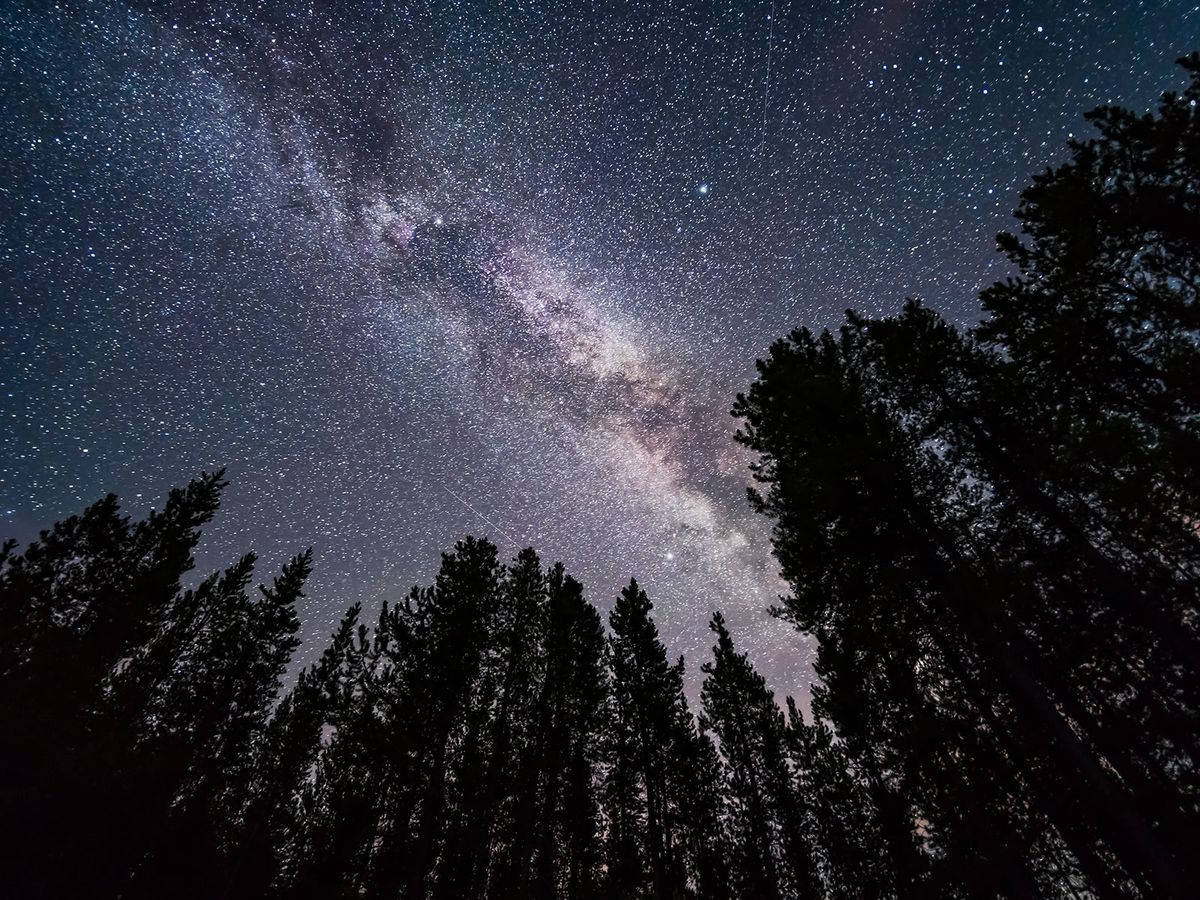 How to Find the Ten Brightest Stars in the Night Sky