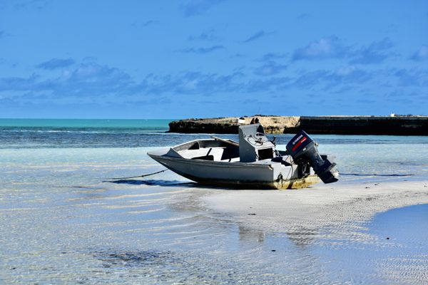 Low Tide thumbnail