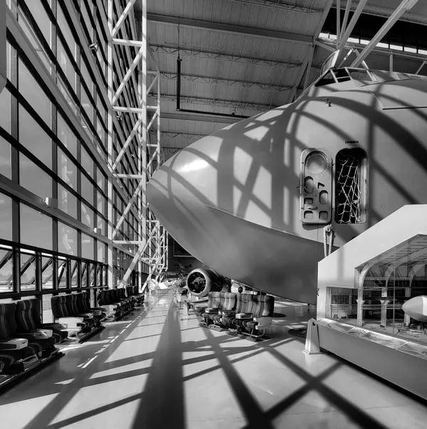 Spruce Goose in its nest thumbnail