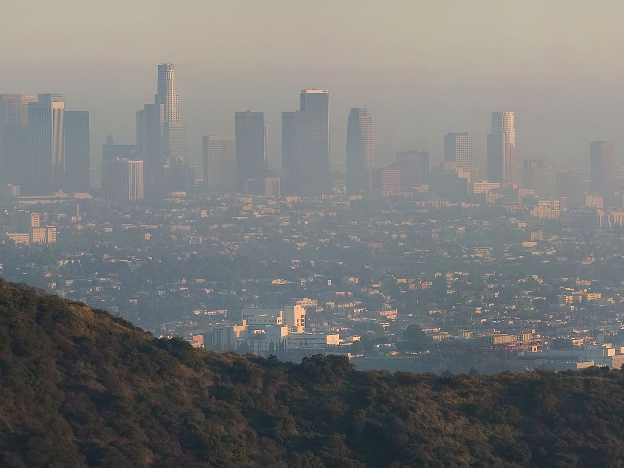 Nearly Half of Americans Still Live With High Levels of Air Pollution,  Posing Serious Health Risks, Report Finds, image size:1280x960