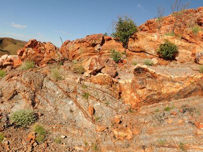 Fossils provide potential evidence that ancient life thrived Australia's Dresser Formation, a region composed of 3.5-billion-year-old hot springs.