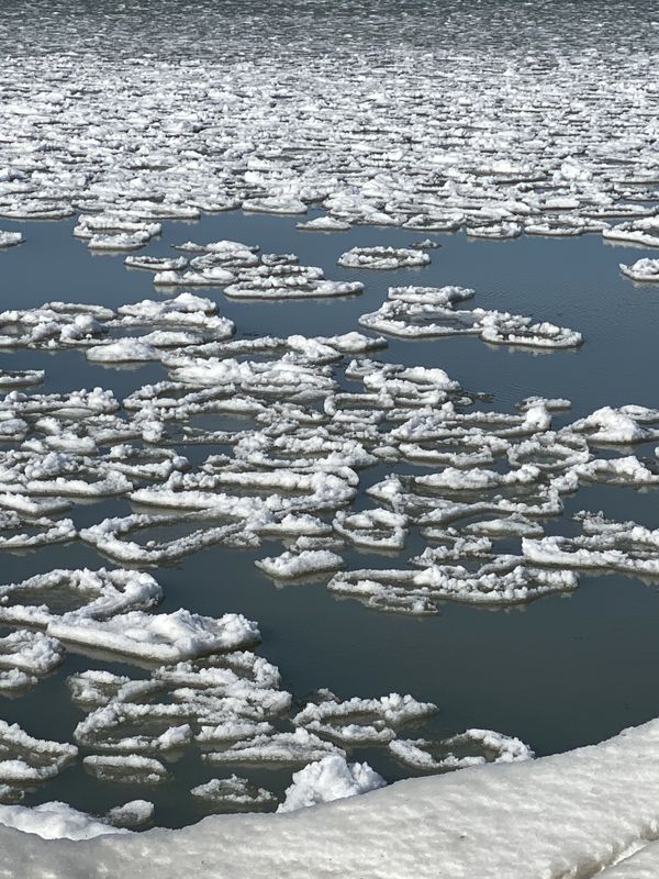 Lake Erie Ice Rings thumbnail