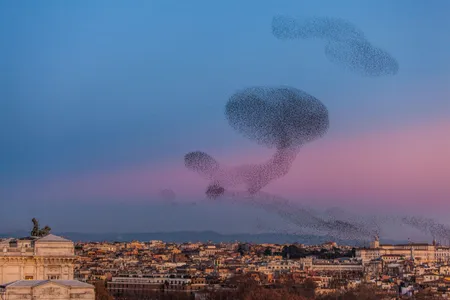 A dark cloud of starlings shapeshifts over Rome.