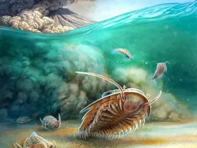 An artist&#39;s rendition of the volcanic eruption that preserved several trilobite fossils in ash more than 500 million years ago.