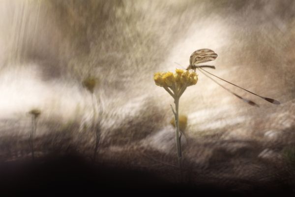 Magic is in the way you look at things thumbnail