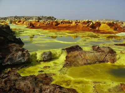 The Danakil Depression in northwest Ethiopia has the sulfuric acid-richest environments on Earth. 