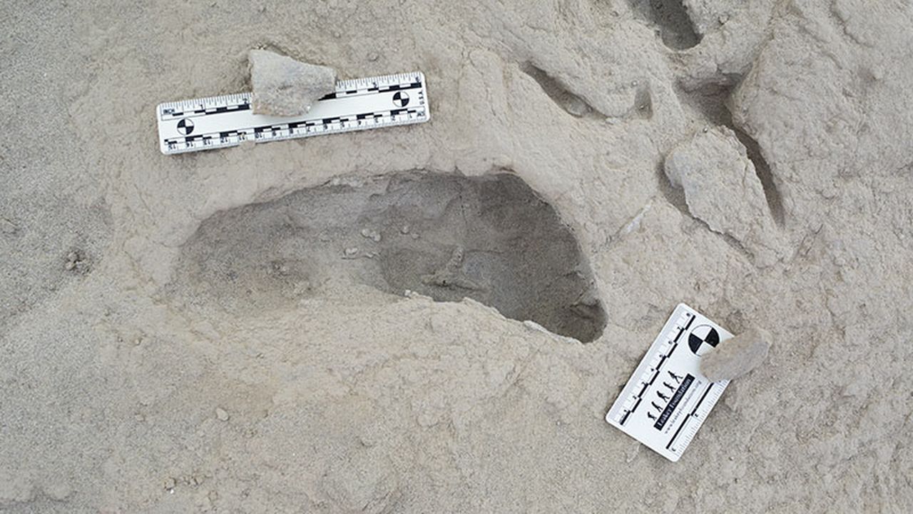 Footprints Reveal Two Early Human Species Walked the Same