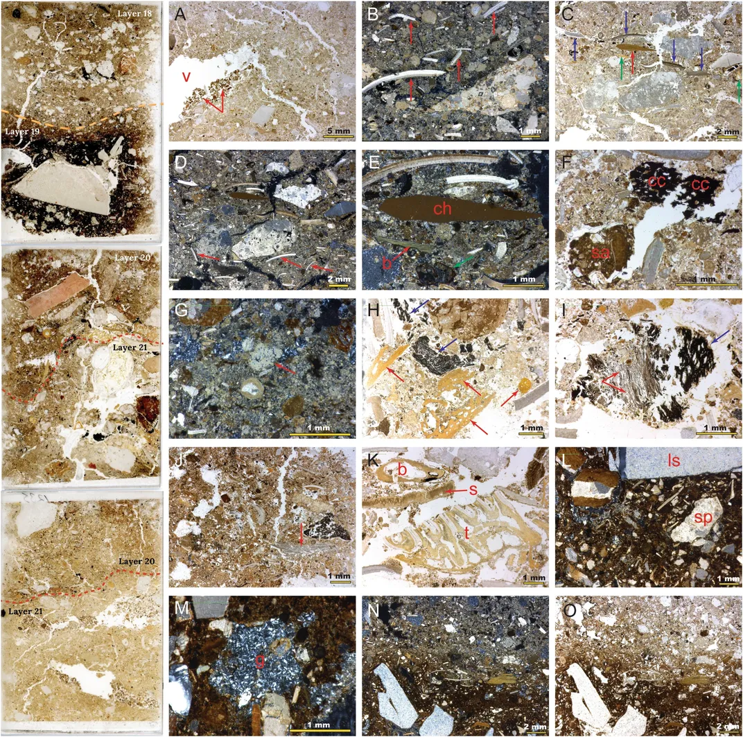 Multiple images depict thin sections of rock layers depicting crushed shells, animal bones, and tool fragments, amidst other organic sediment in a Timor-Leste cave.