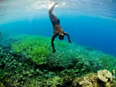 A man dives in the Coral Triangle off Ghizo, Solomon Islands, in 2011.