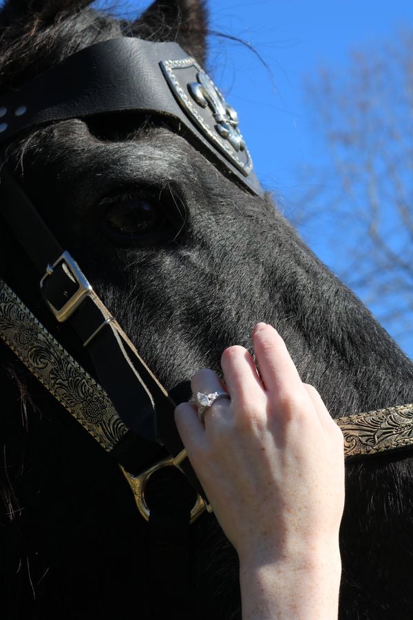 Engagement Ring and Horse thumbnail