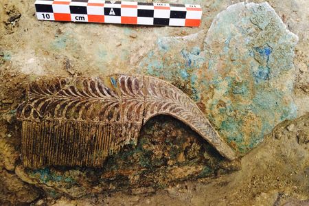 Six ivory combs were also excavated from the tomb.