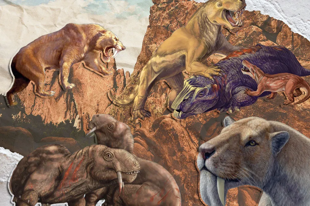Sabertooths