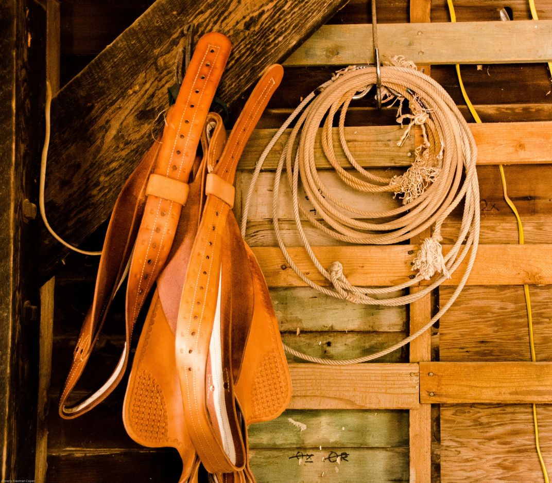 Horse equipment in tack room at Wild Stallion Ranch, Tucson, Az
