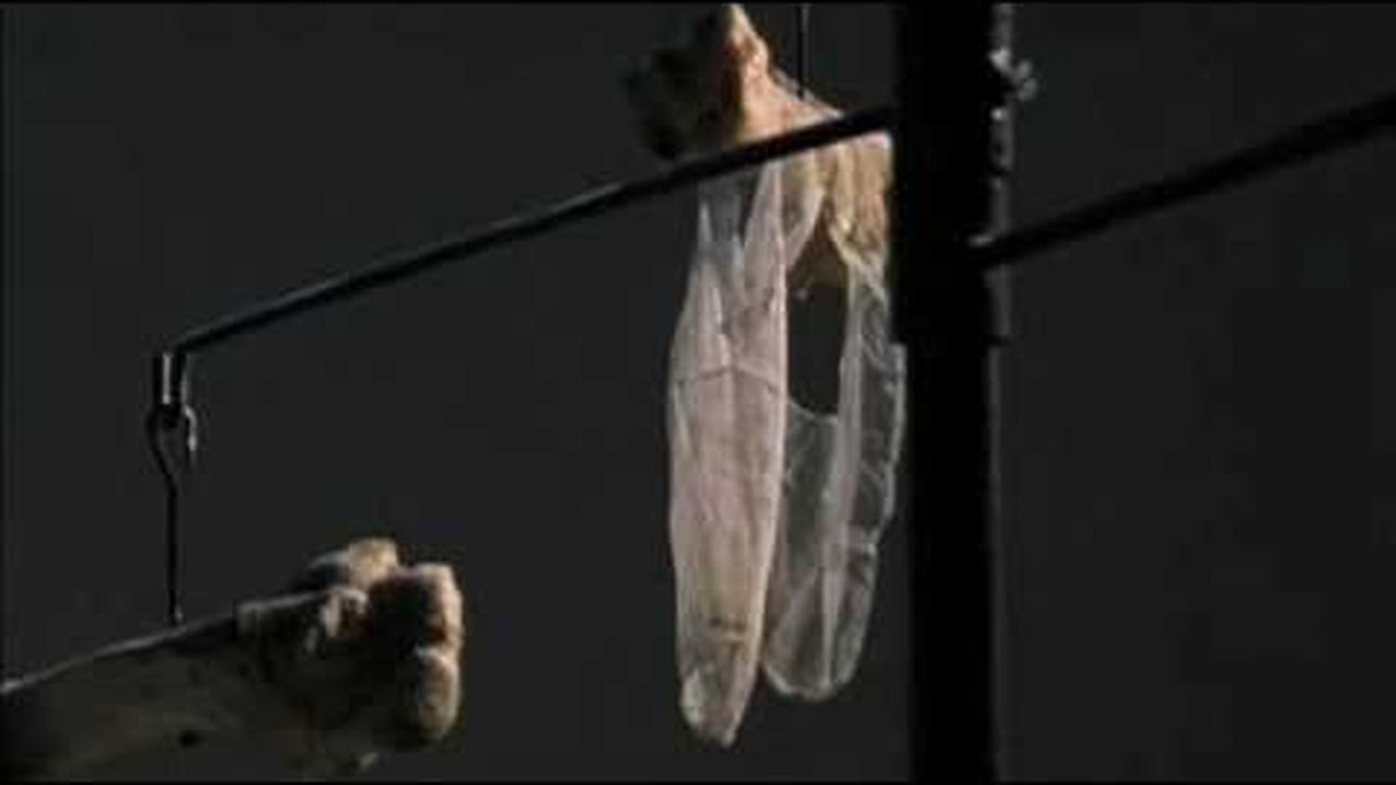 Preview thumbnail for Louise Bourgeois: The Spider, the Mistress, the Tangerine