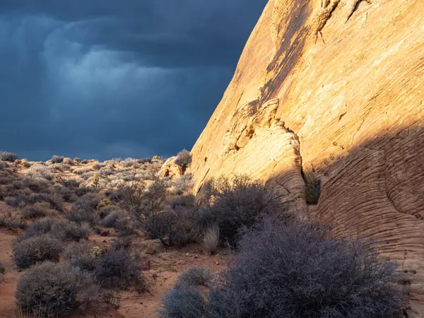 Afternoon Light in the Valley of Fire thumbnail