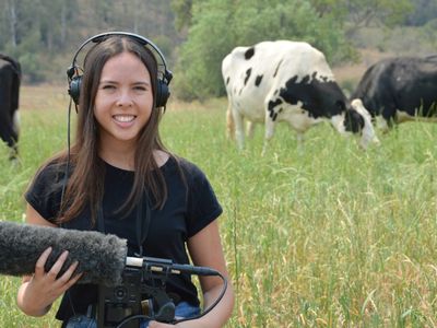 Researcher Alexandra Green, recording cows 
